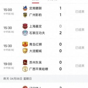 中甲球队生存策略分化现象解析